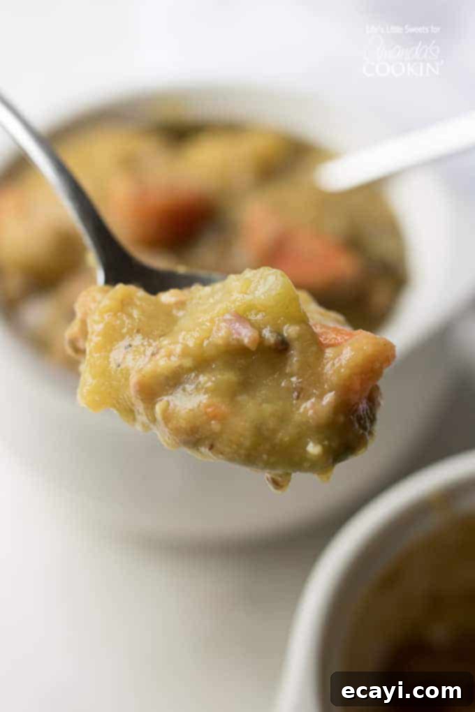 A comforting spoonful of homemade Split Pea Soup with ham. A spoonful of creamy Split Pea Soup, showing its thick texture
