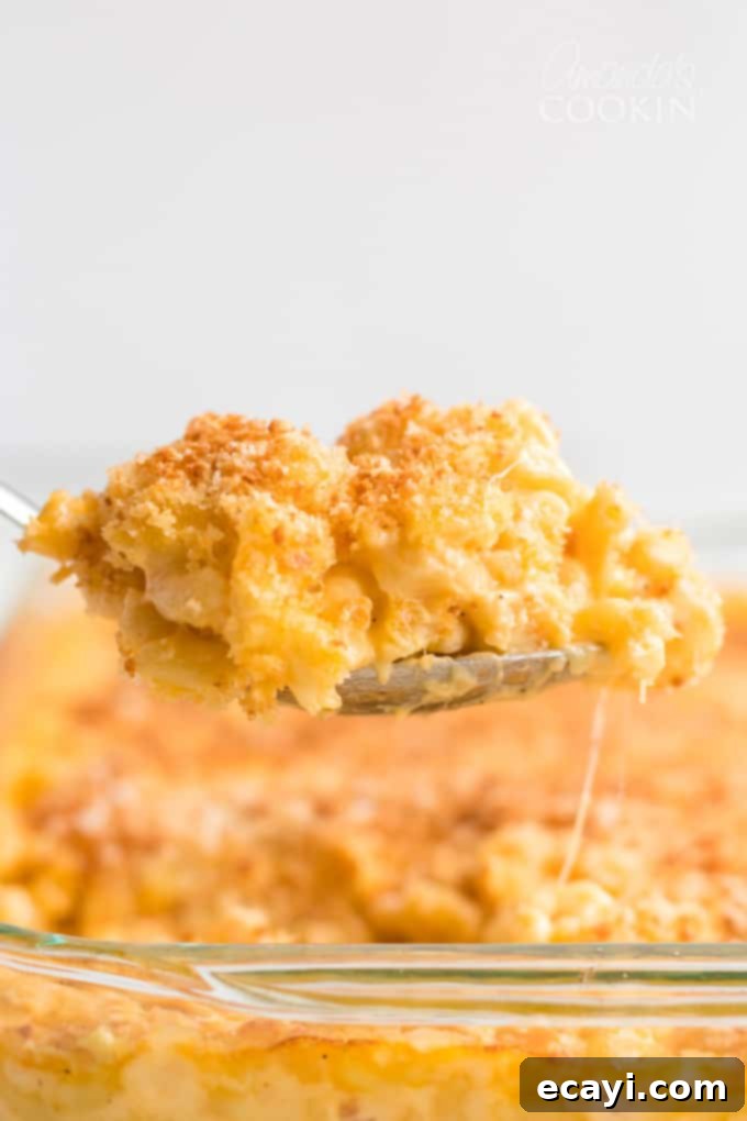 Homemade baked macaroni and cheese is pure comfort food, just like grandma used to make. This baked mac and cheese recipe is easy to make and uses a delicious homemade creamy cheese sauce and is topped with crunchy bread crumbs. I'll show you how to make good old fashioned baked macaroni and cheese that's a true classic! #bakedmacaroniandcheese #bakedmacandcheese #macaroniandcheese #easymacandcheese #homemademacandcheese #howtomakemacaroniandcheese #elbowmacaroni #cheddarcheese #casserolerecipe A generous serving of homemade baked macaroni and cheese with a crunchy breadcrumb topping, on a serving spoon, ready to be enjoyed.