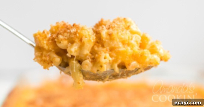 Homemade baked macaroni and cheese is pure comfort food, just like grandma used to make. This baked mac and cheese recipe is easy to make and uses a delicious homemade creamy cheese sauce and is topped with crunchy bread crumbs. I'll show you how to make good old fashioned baked macaroni and cheese that's a true classic! #bakedmacaroniandcheese #bakedmacandcheese #macaroniandcheese #easymacandcheese #homemademacandcheese #howtomakemacaroniandcheese #elbowmacaroni #cheddarcheese #casserolerecipe A serving spoon holds a portion of baked mac and cheese, featuring its creamy pasta and golden-brown breadcrumb topping, ready to be served.