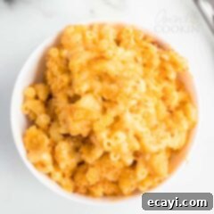 Golden Crusted Mac and Cheese 2 easy baked macaroni and cheese casserole with a golden top