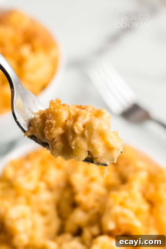 Homemade baked macaroni and cheese is pure comfort food, just like grandma used to make. This baked mac and cheese recipe is easy to make and uses a delicious homemade creamy cheese sauce and is topped with crunchy bread crumbs. I'll show you how to make good old fashioned baked macaroni and cheese that's a true classic! #bakedmacaroniandcheese #bakedmacandcheese #macaroniandcheese #easymacandcheese #homemademacandcheese #howtomakemacaroniandcheese #elbowmacaroni #cheddarcheese #casserolerecipe A fork lifts a generous, stringy portion of baked macaroni and cheese, showing off its rich, creamy texture.