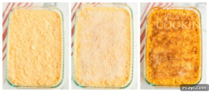 Homemade baked macaroni and cheese is pure comfort food, just like grandma used to make. This baked mac and cheese recipe is easy to make and uses a delicious homemade creamy cheese sauce and is topped with crunchy bread crumbs. I'll show you how to make good old fashioned baked macaroni and cheese that's a true classic! #bakedmacaroniandcheese #bakedmacandcheese #macaroniandcheese #easymacandcheese #homemademacandcheese #howtomakemacaroniandcheese #elbowmacaroni #cheddarcheese #casserolerecipe Step-by-step image showing seasoned breadcrumbs being sprinkled over the mac and cheese in a baking dish, preparing it for baking.