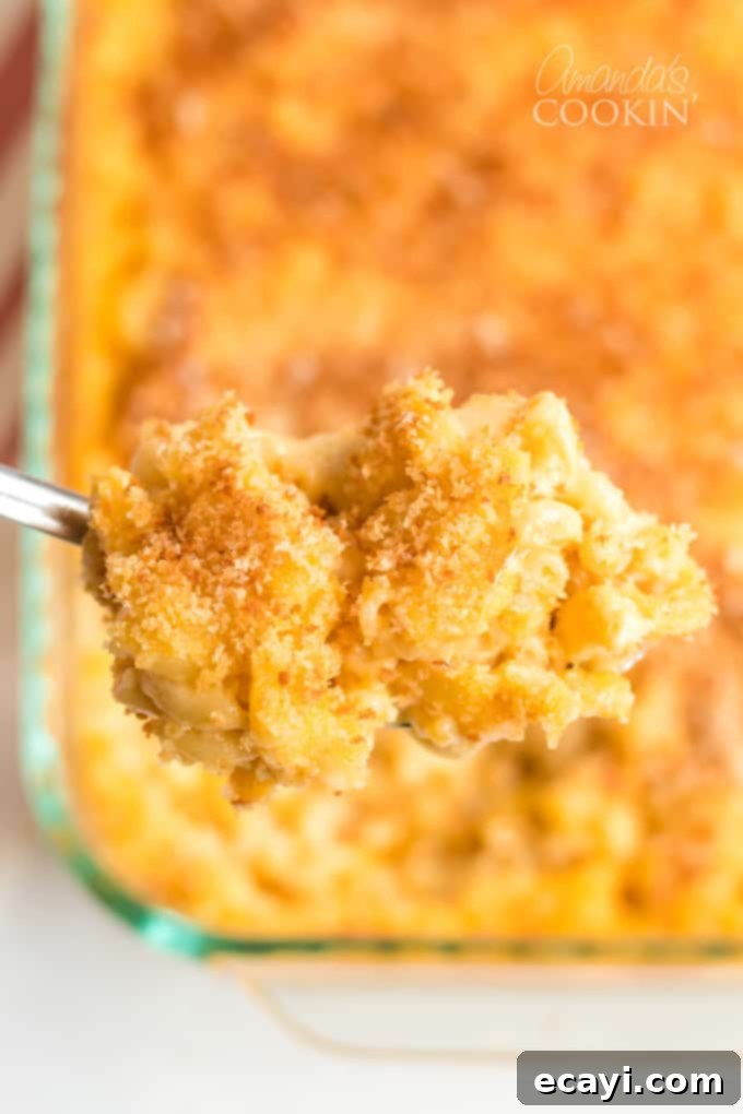 Homemade baked macaroni and cheese is pure comfort food, just like grandma used to make. This baked mac and cheese recipe is easy to make and uses a delicious homemade creamy cheese sauce and is topped with crunchy bread crumbs. I'll show you how to make good old fashioned baked macaroni and cheese that's a true classic! #bakedmacaroniandcheese #bakedmacandcheese #macaroniandcheese #easymacandcheese #homemademacandcheese #howtomakemacaroniandcheese #elbowmacaroni #cheddarcheese #casserolerecipe A serving spoon scoops out a delightful portion of old-fashioned baked mac and cheese casserole, revealing its creamy layers and crunchy topping.