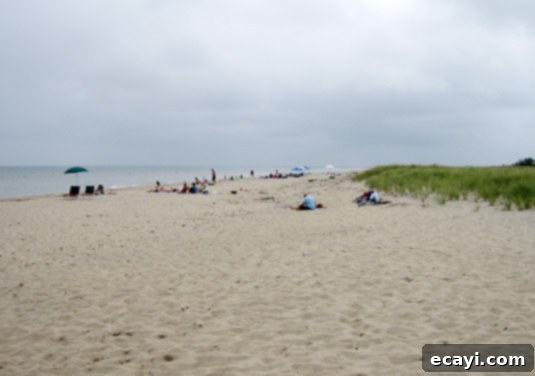 'Sconset Beach Tranquil 'Sconset Beach on Nantucket