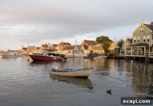 Nantucket Charm Cobblestone streets of Nantucket bathed in late afternoon sun