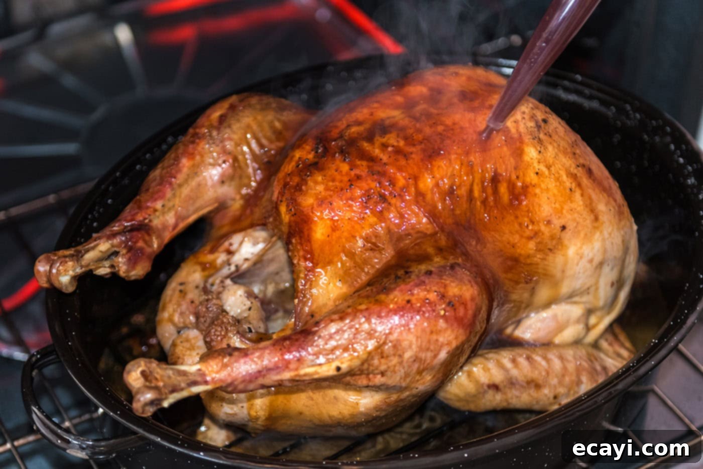 Golden Glazed Turkey 8 basting turkey with the pan juices in the oven