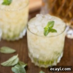 The Mint Julep 2 mint julep cocktail