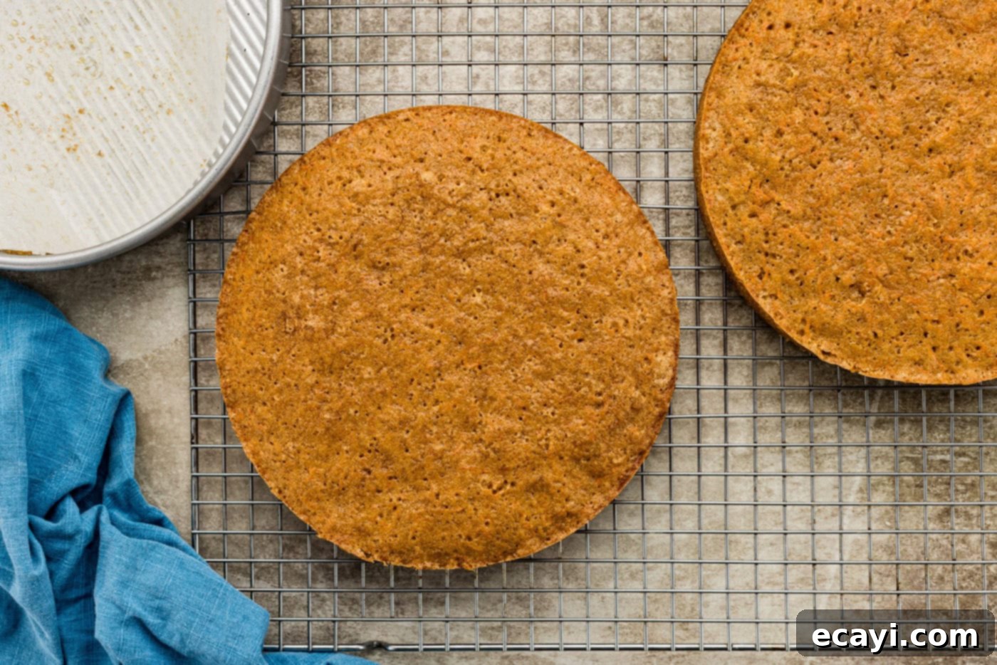 Spiced Carrot Delight 7 A freshly baked carrot cake layer cooling on a wire rack after being removed from the pan, steam gently rising.