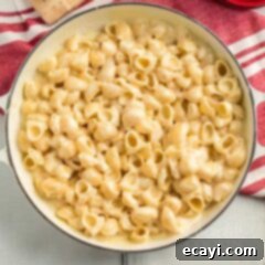 Panera Mac and Cheese Secret Revealed 2 A bowl of pasta and cheese