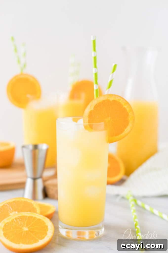 Learn how to make a classic Screwdriver cocktail with vodka and orange juice, perfect for brunch or any casual gathering. Refreshing Screwdriver cocktail in a highball glass, garnished with a fresh orange slice, sitting on a table.