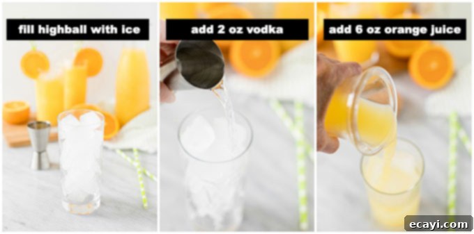 Easy visual guide: how to make a Screwdriver cocktail step-by-step. Visual steps for assembling a Screwdriver cocktail, showing ice, vodka, orange juice, and garnish.