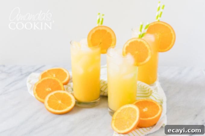 Serving two Screwdriver cocktails: perfect for sharing at any gathering. Two Screwdriver cocktails in highball glasses, garnished with orange slices, ready for serving.