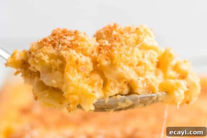 10 Irresistible Mac and Cheese Recipes 4 spoonful of baked mac and cheese