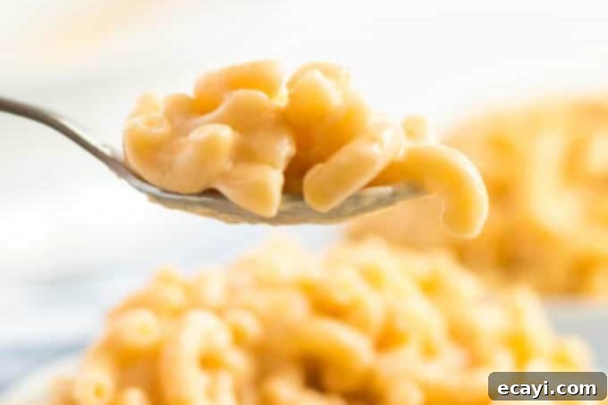 10 Irresistible Mac and Cheese Recipes 5 spoon of stovetop mac and cheese