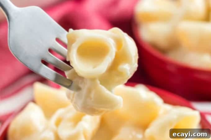 10 Irresistible Mac and Cheese Recipes 6 forkful homemade panera mac and cheese