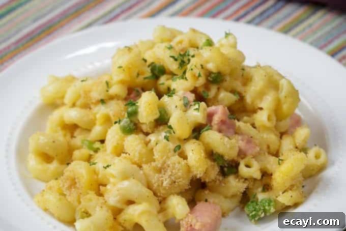 10 Irresistible Mac and Cheese Recipes 9 mac and cheese casserole with ham