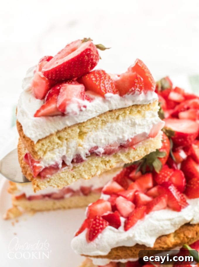 The Ultimate Homemade Strawberry Shortcake Cake for Summer Celebrations Lifting a slice of luscious homemade strawberry shortcake cake with a pie server, revealing layers of tender biscuit cake, sweet macerated strawberries, and fresh whipped cream, perfect for summer celebrations.