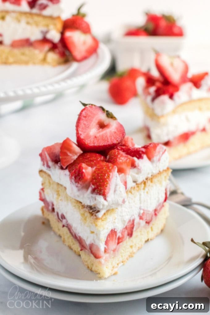 Slice of Homemade Strawberry Shortcake Cake A perfect slice of homemade strawberry shortcake cake on a white plate, showcasing the layered biscuit cake, macerated strawberries, and whipped cream.