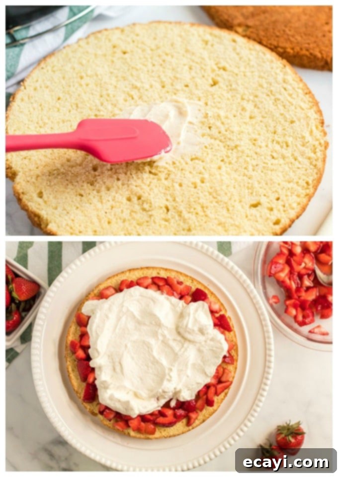 Berry Sweet Adventures 4 Fig. 1 shows softened butter being spread onto a warm shortcake layer; Fig. 2 displays the first assembled layer of shortcake topped with whipped cream and macerated strawberries.