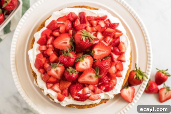 Berry Sweet Adventures 5 An overhead view of a beautifully decorated, freshly made strawberry shortcake cake, garnished with whole and halved strawberries on a bed of whipped cream.