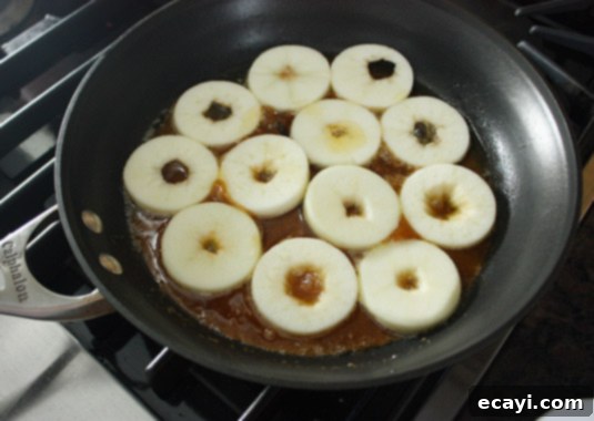 Scatter the apple slices in the skillet, making sure they don’t overlap. Scatter the apple slices in the skillet, making sure they don’t overlap.