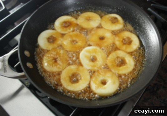ook for 5 minutes without moving the apples, using a spoon to pour some of the caramel over the slices once or twice over the cooking process. ook for 5 minutes without moving the apples, using a spoon to pour some of the caramel over the slices once or twice over the cooking process.