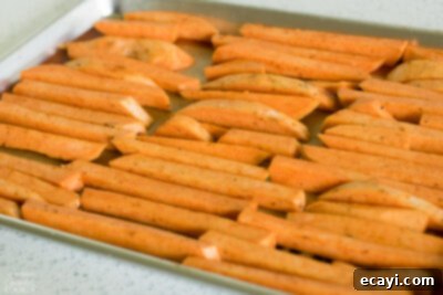 Crispy Baked Sweet Potato Fries 6 img 32448 12