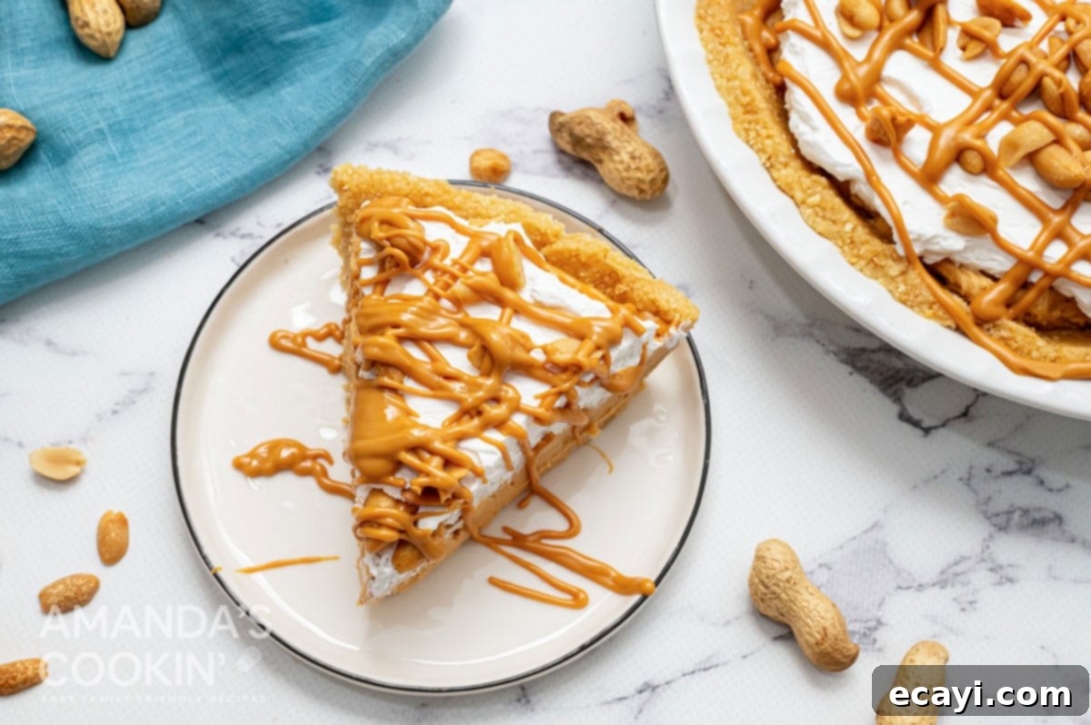 Effortless Peanut Butter Bliss 7 overhead view of a slice of peanut butter pie