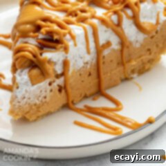 Effortless Peanut Butter Bliss 8 close up of peanut butter pie slice