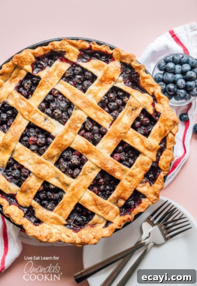 Blueberry Pie is a timeless classic. This recipe will show you how to make the perfect blueberry pie for your next party or get together. Blueberry pie overhead shot with lattice crust