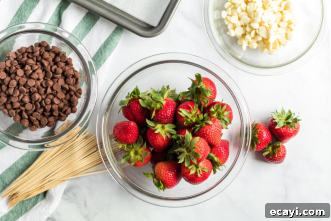 Indulgent Chocolate-Dipped Strawberries 4 A beautiful display of fresh strawberries, chocolate chips, and white chocolate chips – all ingredients for Chocolate Covered Strawberries