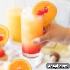 Tequila Sunrise 5 A hand gracefully holds a Tequila Sunrise cocktail, a vivid blend of orange and red, indicating a perfectly crafted drink ready for enjoyment.