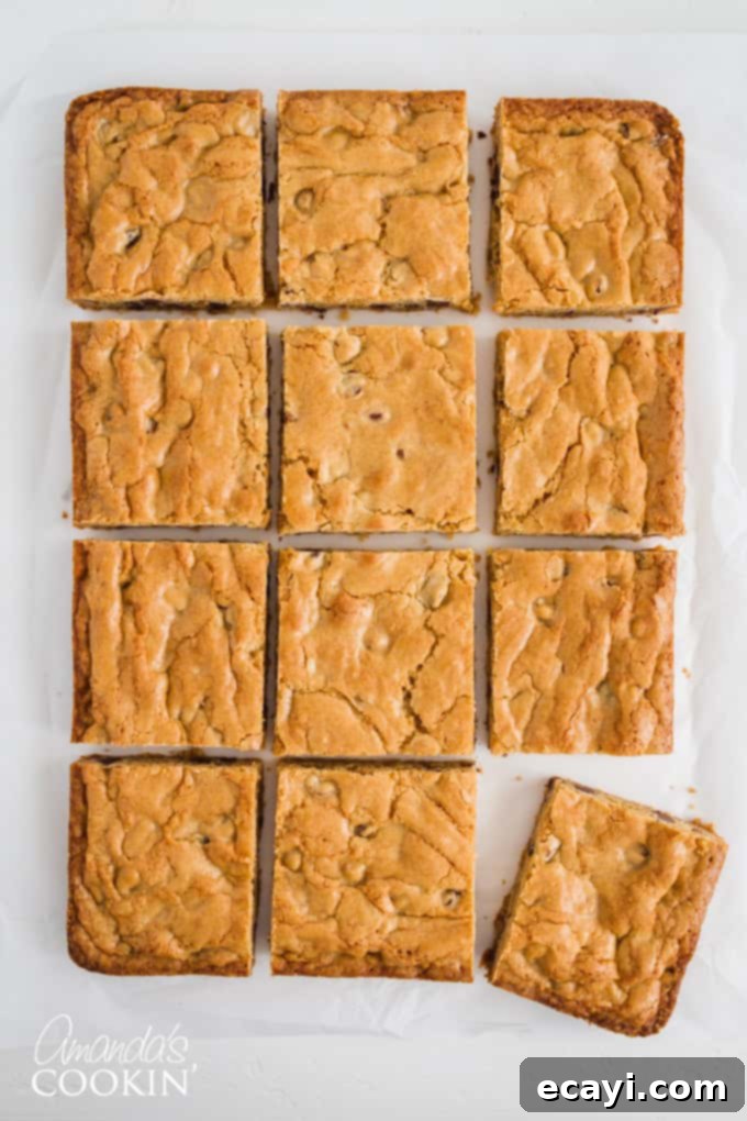 Golden Chocolate Chip Blondies 3 Freshly baked chocolate chip blondies, perfectly cut into squares and ready to serve.