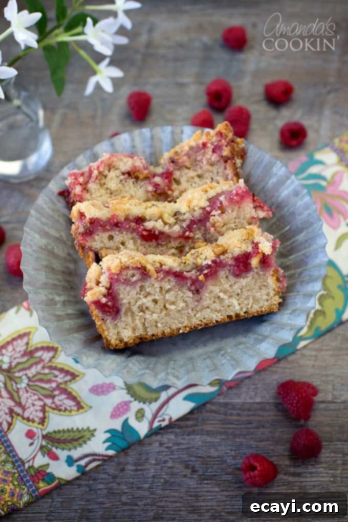 Tangy Raspberry Swirl Coffee Cake 2 An overhead picture of three generous slices of homemade raspberry coffee cake, showcasing the streusel topping and fruit swirl.