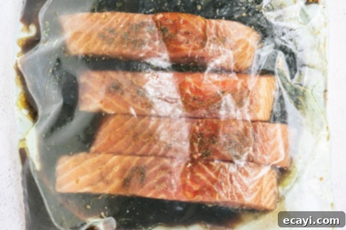 Chargrilled Salmon Bliss 7 salmon filets in a bag with marinade