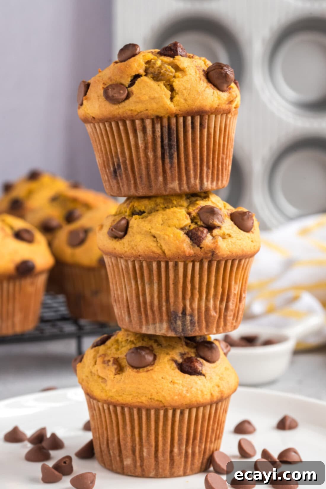 Spiced Pumpkin Chocolate Chip Muffins 2 Stack of warm, delicious chocolate chip pumpkin muffins, perfect for fall baking
