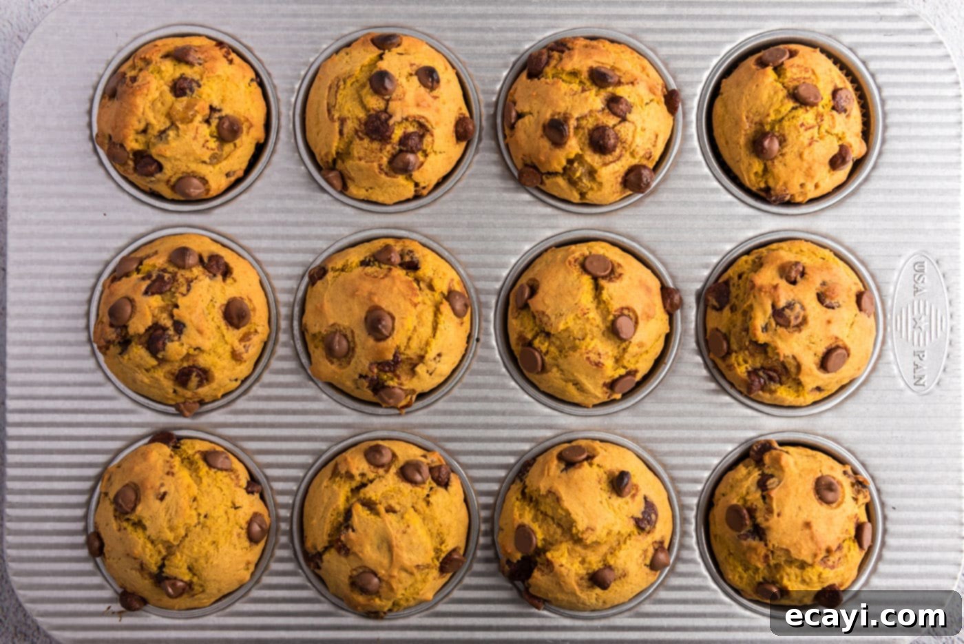 Spiced Pumpkin Chocolate Chip Muffins 18 Baked chocolate chip pumpkin muffins cooling in the pan