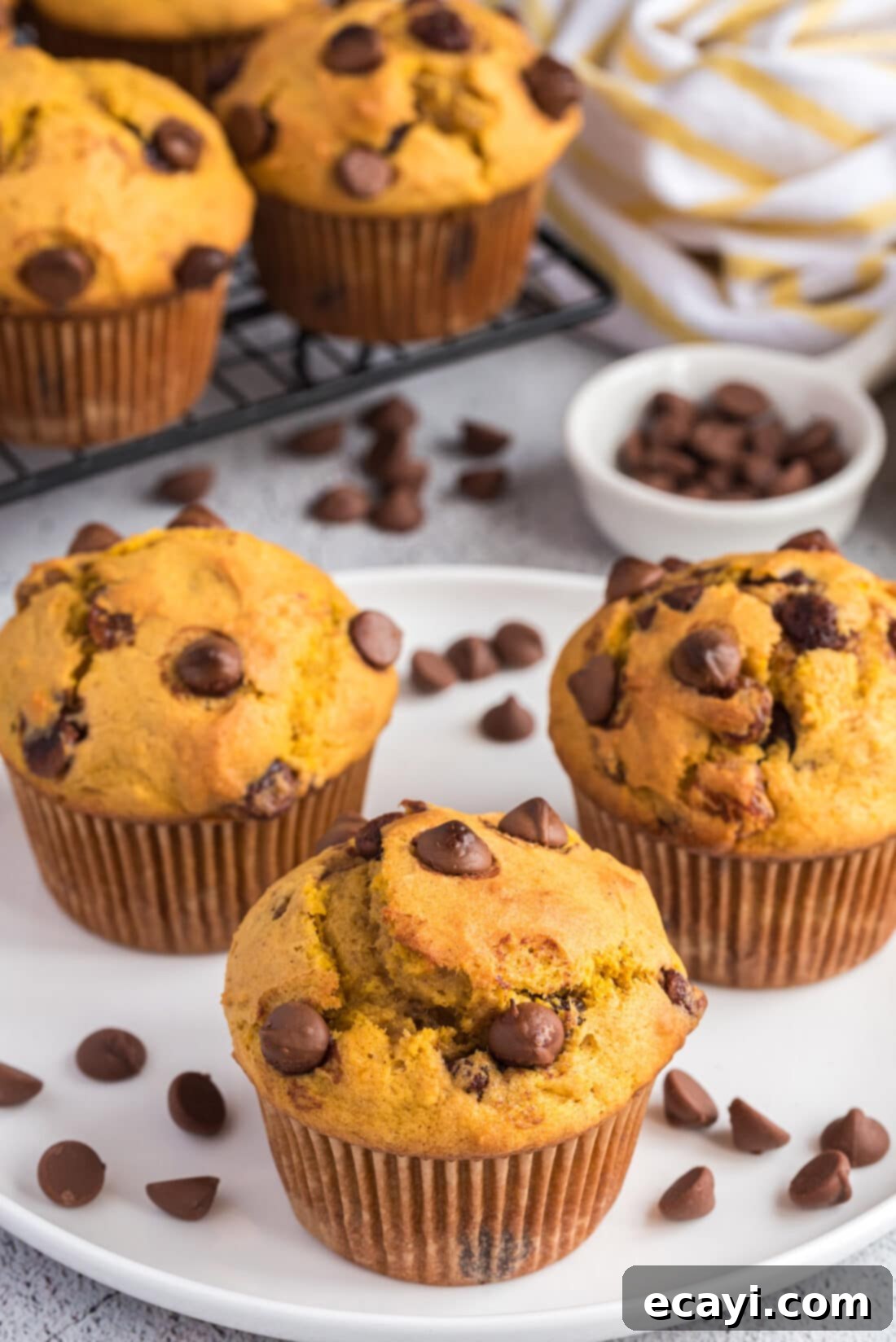 Spiced Pumpkin Chocolate Chip Muffins 20 Close-up of chocolate chip pumpkin muffins on a plate, ready to be served