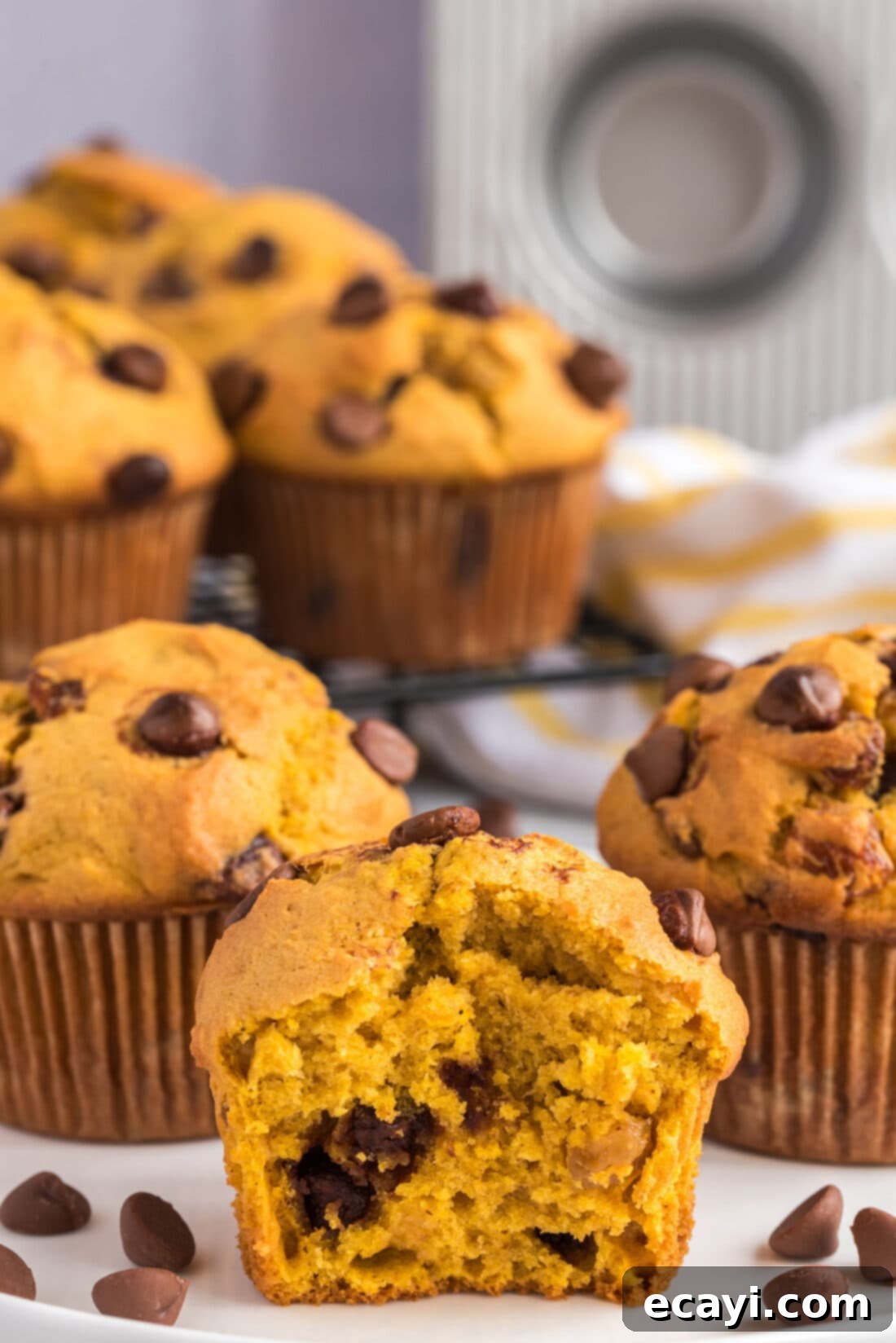 Spiced Pumpkin Chocolate Chip Muffins 3 Halved chocolate chip pumpkin muffin showcasing its moist interior and chocolate chips