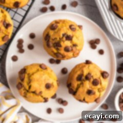 Spiced Pumpkin Chocolate Chip Muffins 21 Chocolate Chip Pumpkin Muffins recipe card image