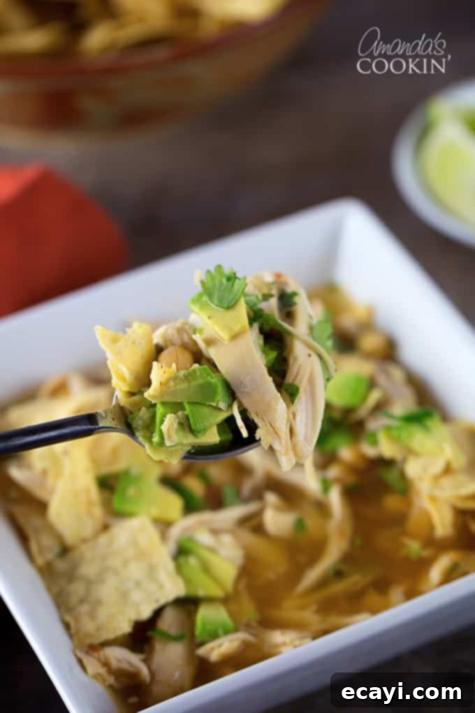 Chipotle Chicken Comfort Bowl 3 A spoonful of chipotle chicken soup.