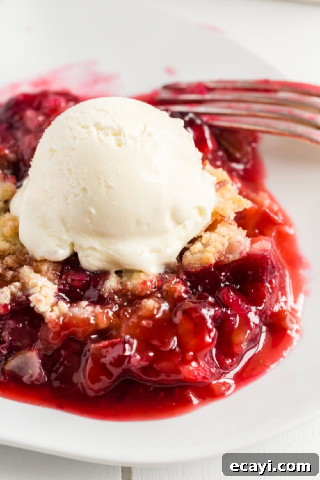 Blue Ribbon Rhubarb Delight 2 Close up photo of Prize Winning Berry Rhubarb Crumble in a bowl topped with vanilla ice cream, ready to be served.