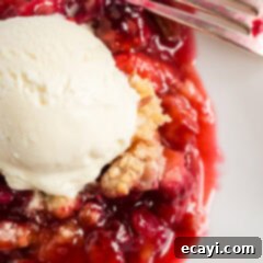 Blue Ribbon Rhubarb Delight 5 Close up photo of Prize Winning Berry Rhubarb Crumble topped with vanilla ice cream