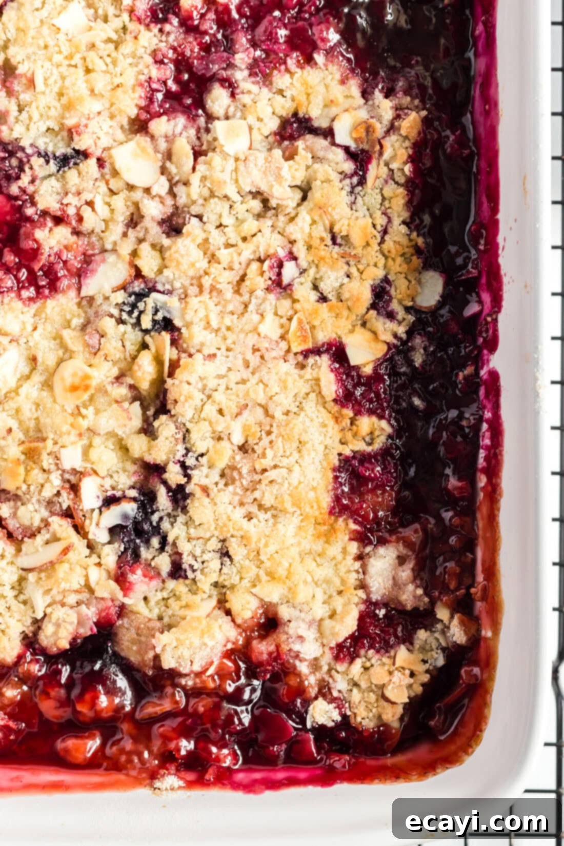Blue Ribbon Rhubarb Delight 3 Overhead photo of a freshly baked Prize Winning Berry Rhubarb Crumble in a baking dish.