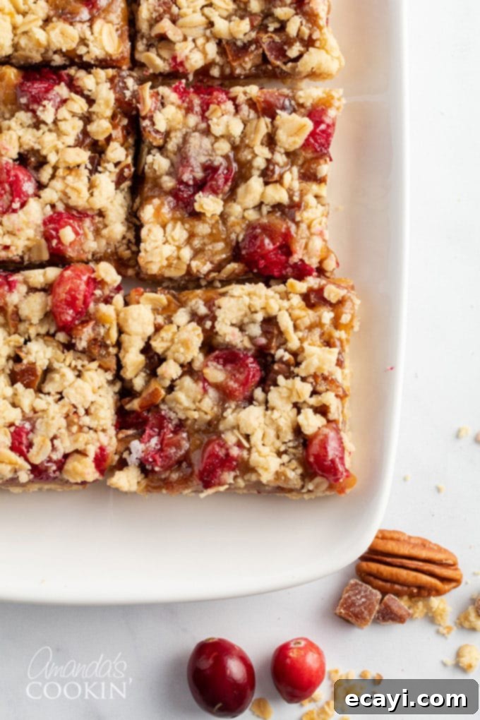 Caramel Cranberry Bliss Bars 8 a plate of perfectly cut cranberry caramel bars ready to be served
