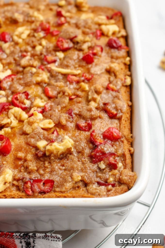 Cranberry Coffee Cake is filled with plump cranberries and topped with a delicious streusel topping. This is an easy to make coffee cake for Christmas. A pan of freshly baked Cranberry Streusel Coffee Cake, still warm from the oven.