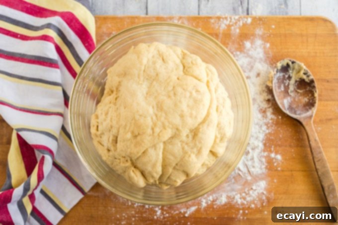 Whip Up Your Own Pizza Dough 9 pizza dough doubled in size after first rise