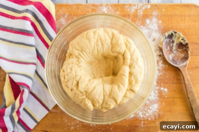 Whip Up Your Own Pizza Dough 10 pizza dough after being punched down