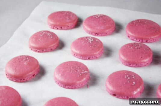 A Macaron Troubleshooting Guide: Useful Tips and Advice to Master the French Delicacy A Macaron Troubleshooting Guide: Useful Tips and Advice to Master the French Delicacy