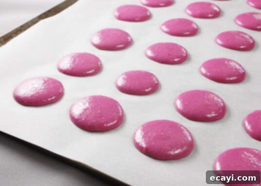 Resting / drying macarons before baking Resting / drying macarons before baking